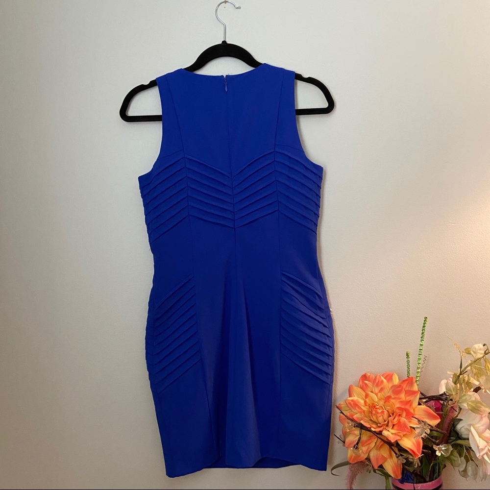 C. Price Royal Blue Dress NWT - Picture 7 of 8